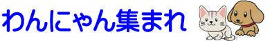 オレンジドラッグ通販部/